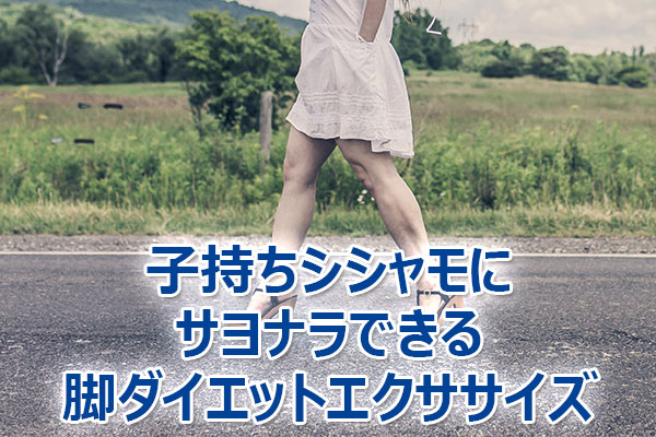 �r,�_�C�G�b�g,�ȒP,��,�ӂ���͂�,����