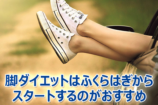 �r,�_�C�G�b�g,�ȒP,��,�ӂ���͂�,����